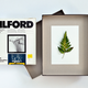 Illustration for article titled How to Make Photographic Prints Without a Camera or Chemicals